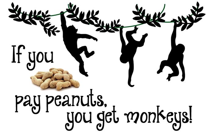 Des silhouettes de singes accrochés sur une branche ; en-dessous l'inscription "If you pay peanuts, you get monkeys".